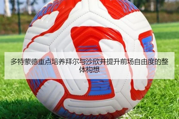 多特蒙德重点培养拜尔与沙欣并提升前场自由度的整体构想
